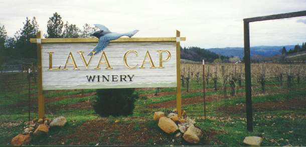 The vineyards at Lava Cap