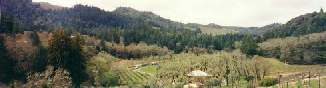 vstrasserpanoramasmall.jpg (6272 bytes)